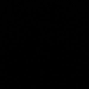 Meet your Posher, Maddie